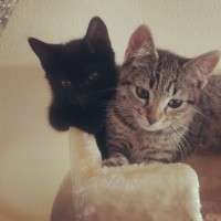 /album/all-about-me-and-my-self-/a1186309-494865950599358-1101841058-n-jpg/